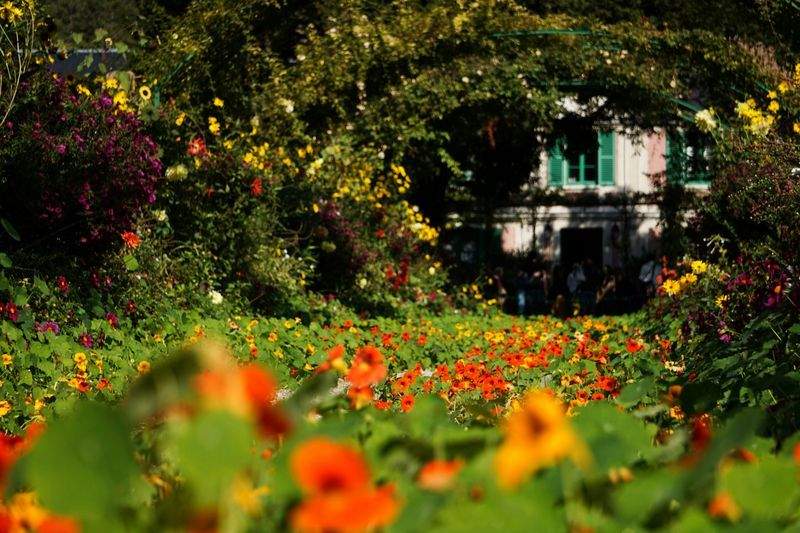 外構まわりの花壇整備